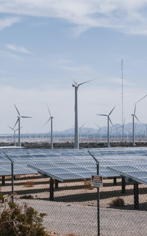 pexels-kindel-media-9800092