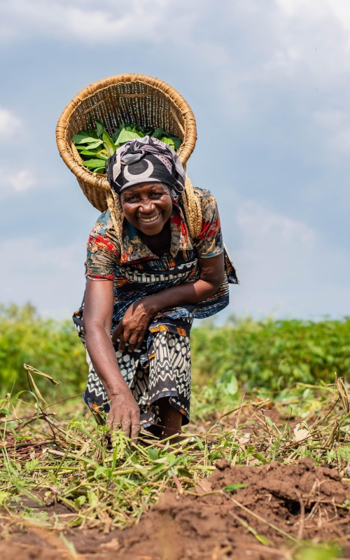 pexels-safari-consoler-15897037(1)